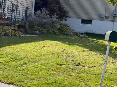 Lawn Care service in Rochester, 03867