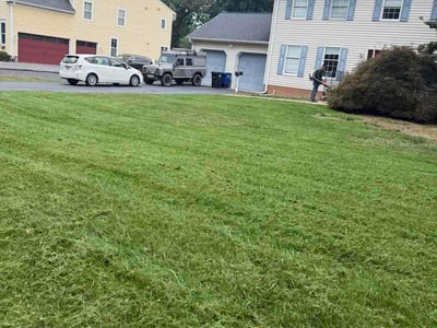 Lawn Care service in Fairfax, 22030