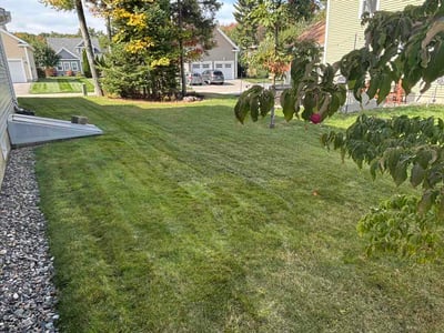 Lawn Care service in Portland, 04101