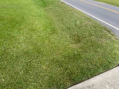 Lawn Care service in Goldsboro, 27530