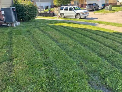 Lawn Care service in Brigham City, 84302