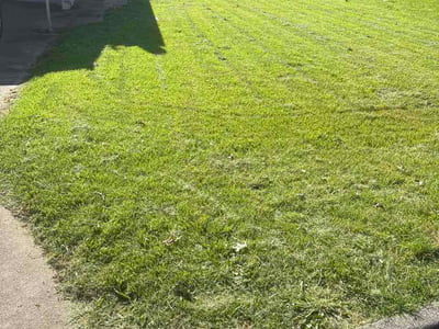 Lawn Care service in Portland, 04101