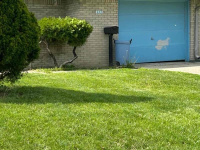 Lawn Care service in West Mifflin, 15122