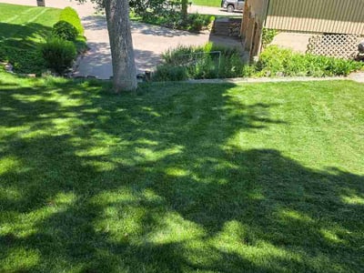 Lawn Care service in Brigham City, 84302