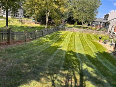 Lawn Care service in Herndon, 20170