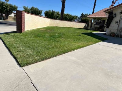 Lawn Care service in Perris, 92570
