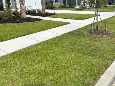Lawn Care service in Travelers Rest, 29690