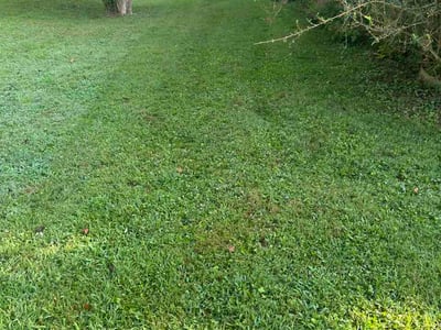 Lawn Care service in Antioch, 37013