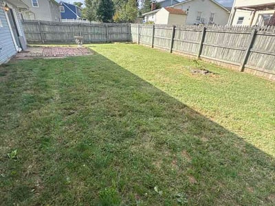 Lawn Care service in Severn, 21144