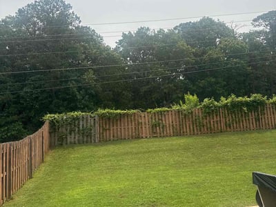 Lawn Care service in Rialto, 92376