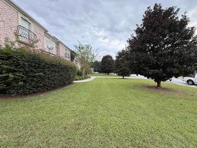 Lawn Care service in Branson, 65616