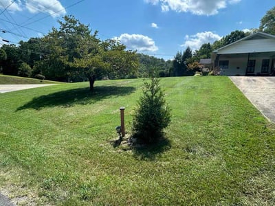 Lawn Care service in Sevierville, 37862