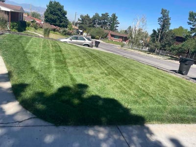 Lawn Care service in Sandy, 84092