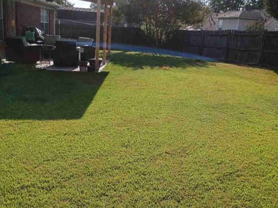 Lawn Care service in Sevierville, 37862