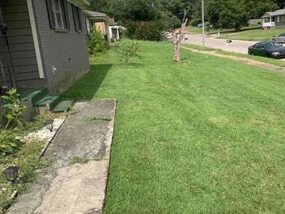 Lawn Care service in Marion, 37347