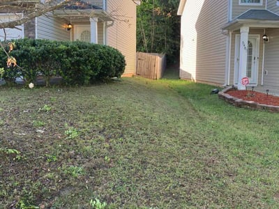 Lawn Care service in Chino, 91710