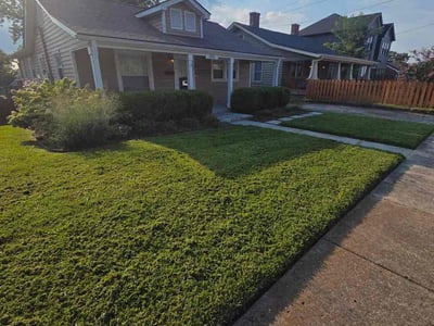 Lawn Care service in Pleasant View, 37146