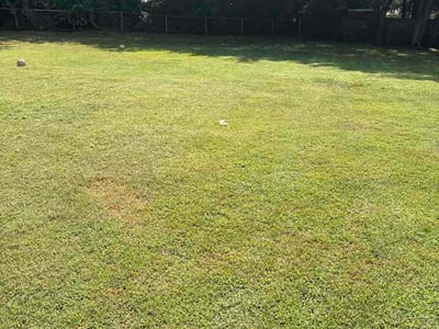 Lawn Care service in Franklin, 37064