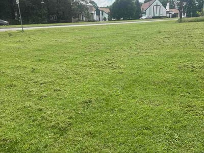 Lawn Care service in Ruther Glen, 22546