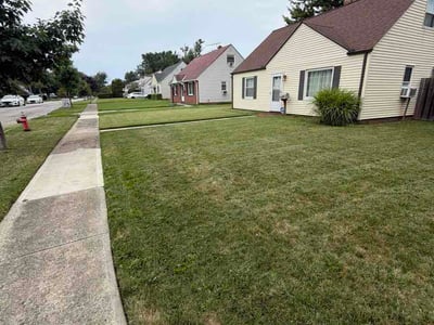 Lawn Care service in Euclid, 44123