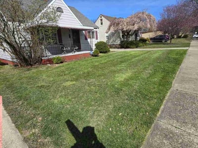 Lawn Care service in Euclid, 44123
