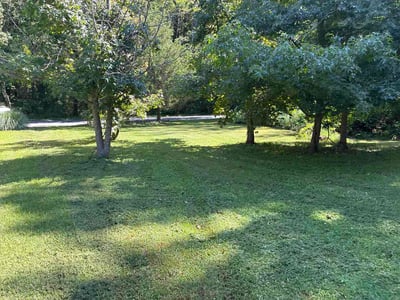 Lawn Care service in Middle River, 21220