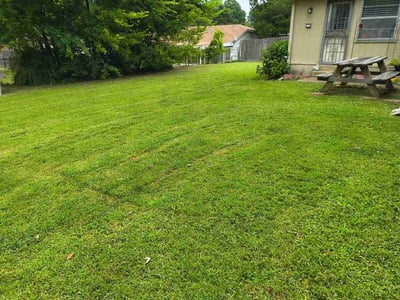 Lawn Care service in Bartlett, 38134