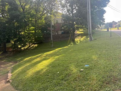 Lawn Care service in Lebanon, 37087