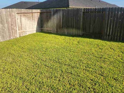 Lawn Care service in Rosharon, 77583