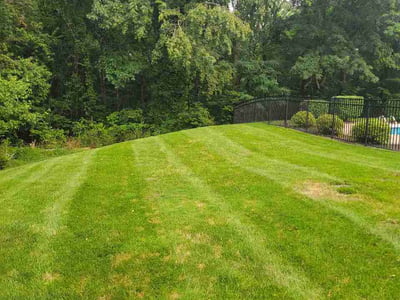 Lawn Care service in Sewickley, 15143