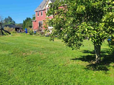 Lawn Care service in Sewickley, 15143