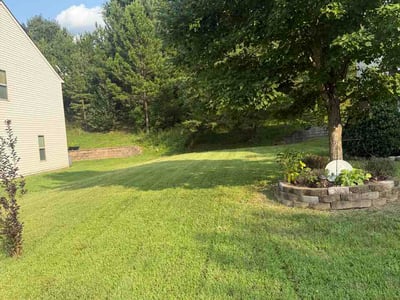 Lawn Care service in Mount Holly, 28120