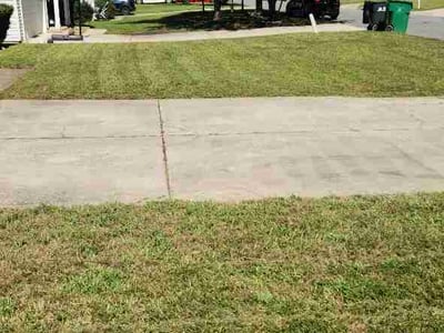 Lawn Care service in Mount Holly, 28120