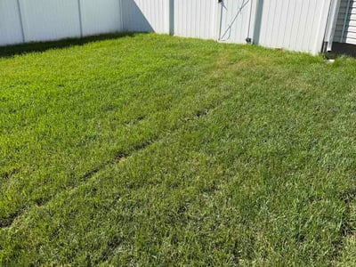 Lawn Care service in Eagle Mountain, 84005