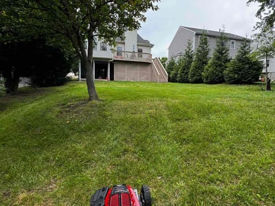 Lawn Care service in Gwynn Oak, 21207