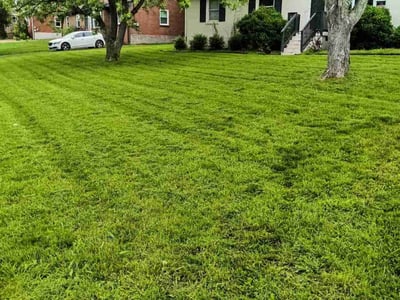 Lawn Care service in Goodlettsville, 37072