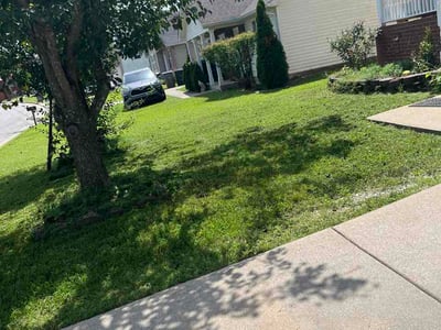 Lawn Care service in Columbia, 38401