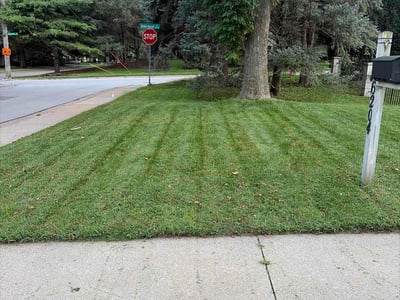 Lawn Care service in Marion, 62959