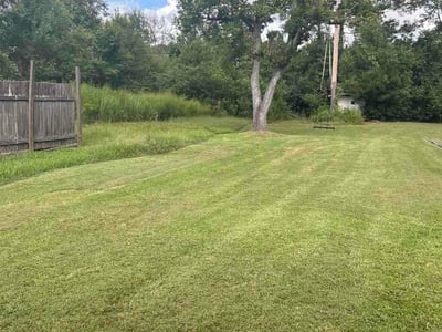 Lawn Care service in Harvey, 70058