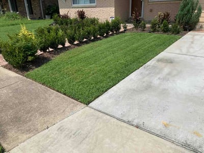 Lawn Care service in Harvey, 70058