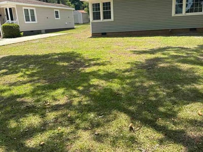 Lawn Care service in Waynesville, 28786