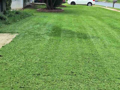 Lawn Care service in Owings Mills, 21117