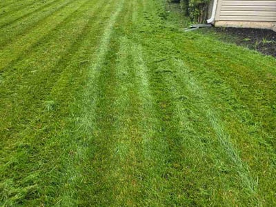 Lawn Care service in Owings Mills, 21117