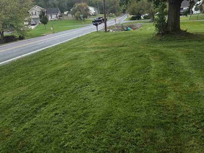 Lawn Care service in Chambersburg, 17201