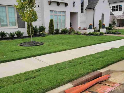 Lawn Care service in ,