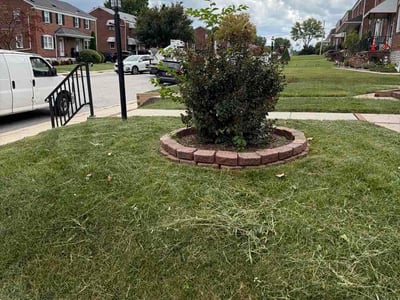 Lawn Care service in Cockeysville, 21030