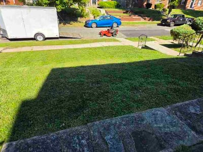 Lawn Care service in Cockeysville, 21030