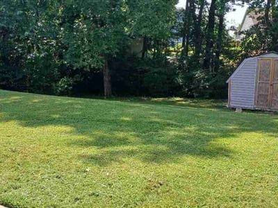 Lawn Care service in Denver, 28037