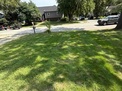 Lawn Care service in Midvale, 84047