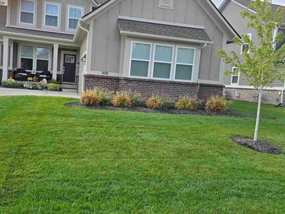 Lawn Care service in Fishers, 46038